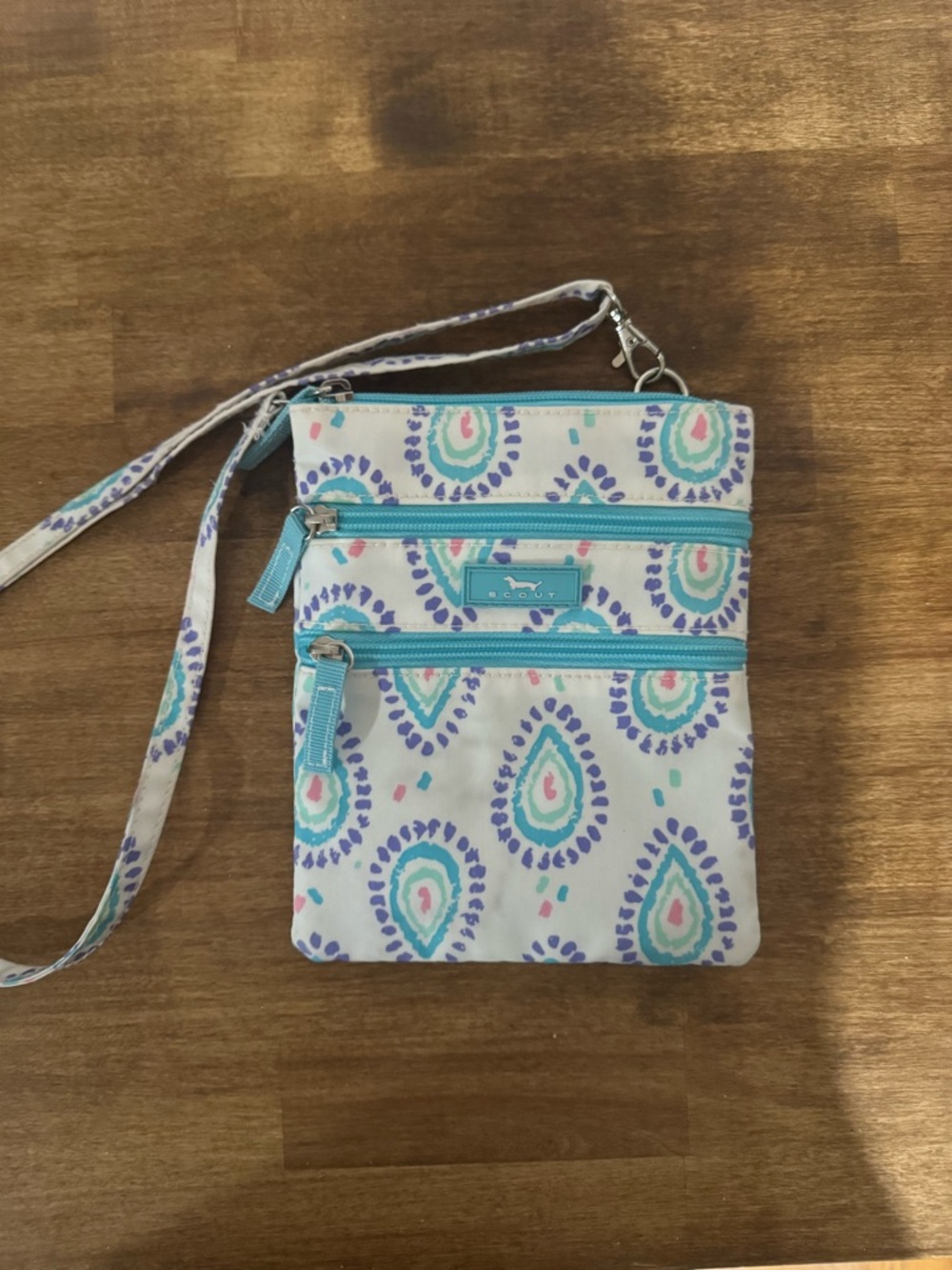 Scout Crossbody Travel Pouch